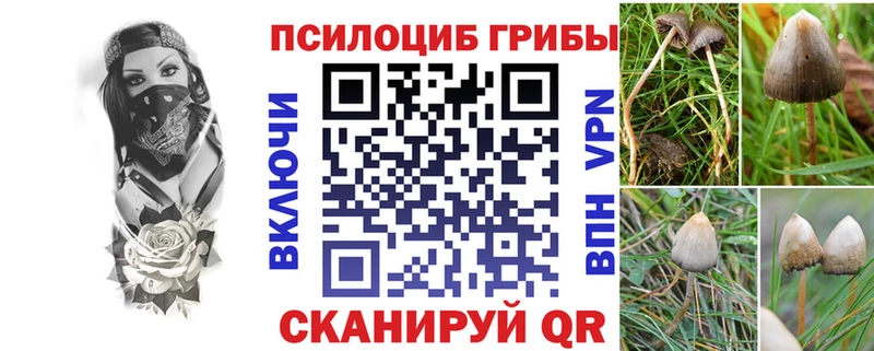 Псилоцибиновые грибы мицелий Урень